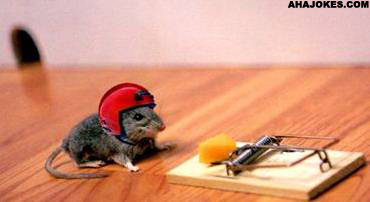 WB0matt's profile picture. Pillow vs Pillow Crazy Awsome!!!!