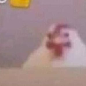 bleb51484385's profile picture. hey