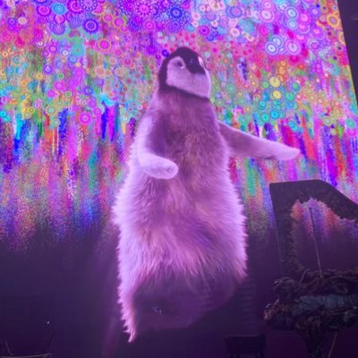 soir_eeeeee's profile picture. 051