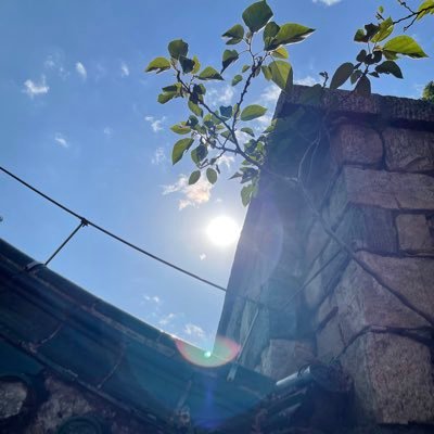 W117X's profile picture. BTC