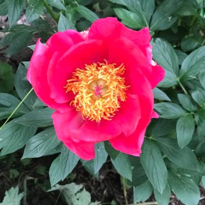 kraut660's profile picture. 