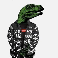 Stephan-Raptor (@stephan_raptor) 's Twitter Profile Photo Stephan-Raptor (@stephan_raptor) 's Twitter Profile Photo