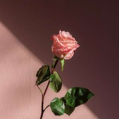 かんべさんのプロフィール画像