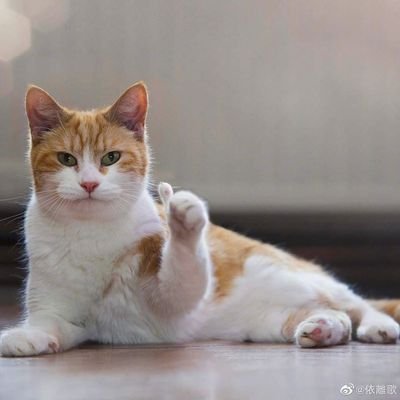 Bell Pepperさんのプロフィール画像