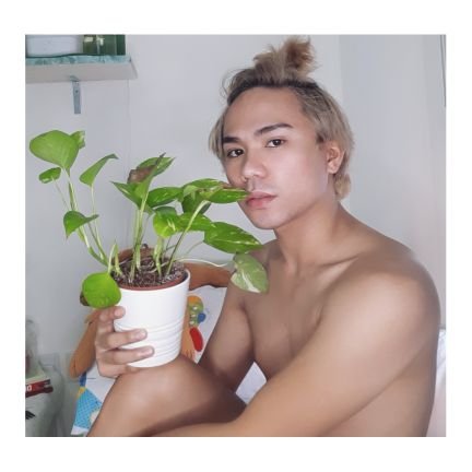 supakneedar's profile picture. 