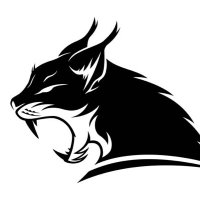 Kellas Sports Cars (@newtonauto1) 's Twitter Profile