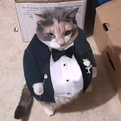 mendrimendri's profile picture. quiero cariño