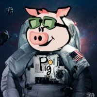 💸Cropto'PigToken🐖🚀 (@kriptopig) 's Twitter Profile
