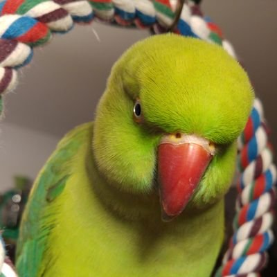 Gadek89's profile picture. 