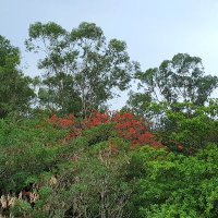 Athreyu69 (@amunkumar) 's Twitter Profile