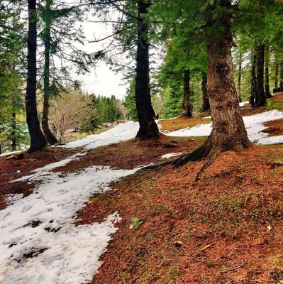 ltpmathur's profile picture. 