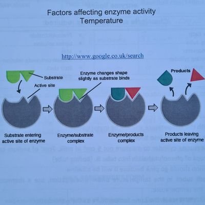 Finepointwrite1's profile picture. I’m an experienced academic writer with over 6 years of experience, motivated by great integration of my hobby and professional writing skills.