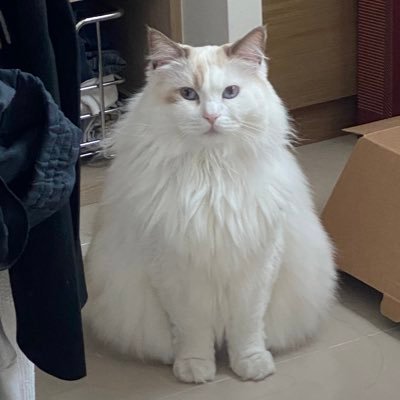 mpmwoo's profile picture. 