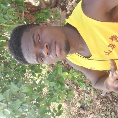 FEngsere's profile picture. my capabilities