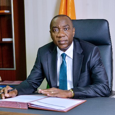 Compte officiel. Ministre de l'Environnement et du Développement Durable de Côte d'Ivoire, Député, Expert en finances
