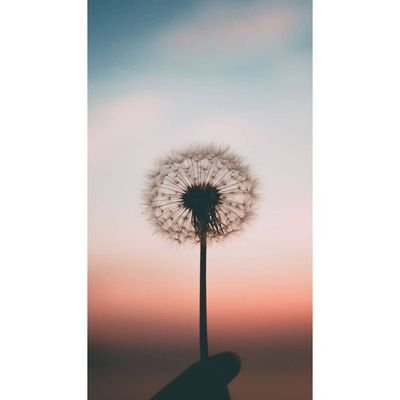 KeerthanaChira1's profile picture. 