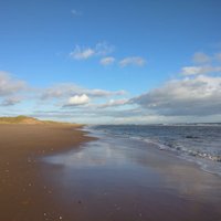 Myra Kinnaird (@b24km) 's Twitter Profile