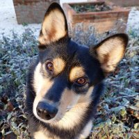 Iaia (@mariaro85819362) 's Twitter Profile Photo Iaia (@mariaro85819362) 's Twitter Profile Photo