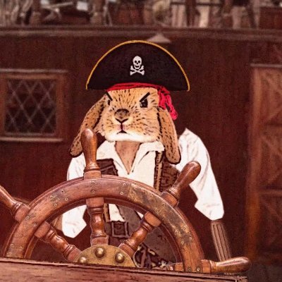 Pirate 🏴☠️
Gamer 🎮
Metal Music Enjoyer 🤟
Unreal Game Developer 🔥