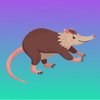 SolanadonCoin (@solanadoncoin) 's Twitter Profile Photo SolanadonCoin (@solanadoncoin) 's Twitter Profile Photo