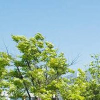 洗脳ってどうやって解くんですか (@sdnjoogx9j9v5o8) Twitter profile photo