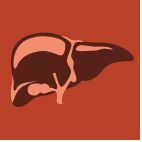 Livers (ISSN 2673-4389) is a peer-reviewed #OpenAccess journal of liver science published quarterly online by @MDPIOpenAccess.