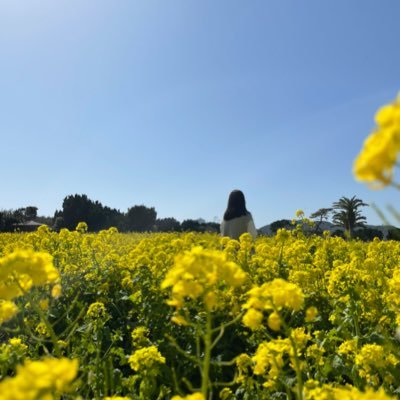 ONEFLOW08866280's profile picture. 看護学生💉