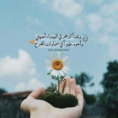 zurie_99's profile picture. Aime-toi et tu auras des amis 🇫🇷