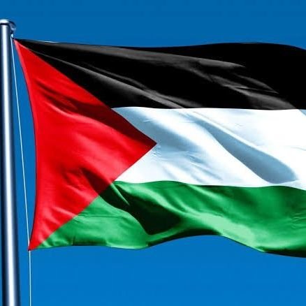 wowopetroleum's profile picture. supplier solar industri