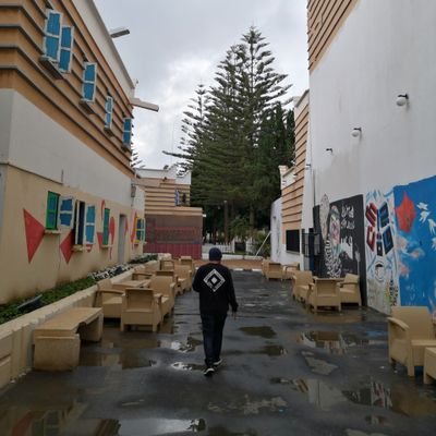 Ali__Assiri's profile picture. Full-Stack and Mobile App developer