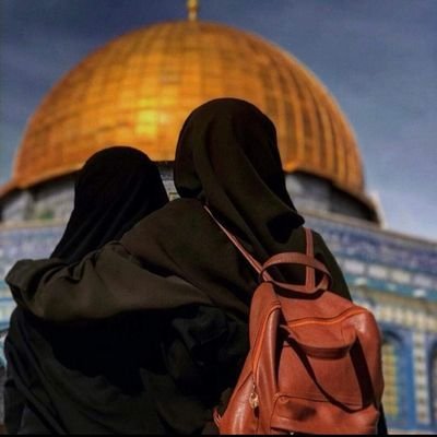 | حساب جديد |

قلبٌ تجمّع فيه الهمُّ والهِمَمُ، متذوقة للأدبِ والبيان ولستُ من أهله !