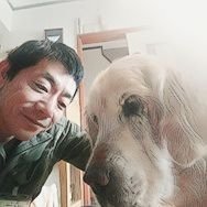 石橋 健一/保護犬猫を幸せにする。 (@tocotoco1484) 's Twitter Profile