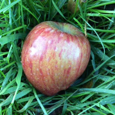 BarCider's profile picture. You can’t argue with a closed mind