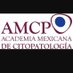 Academia Mexicana de Citopatología (@acitopatologia) Twitter profile photo Academia Mexicana de Citopatología (@acitopatologia) Twitter profile photo