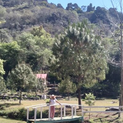 lic_magalimc's profile picture. Lic. en Psicología