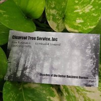 Clearcut Tree Service, Inc.(@ClearcutTree) 's Twitter Profile Photo