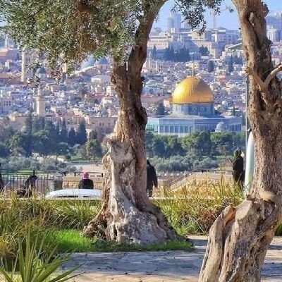 Ebq7o9AzUDaFZgx's profile picture. 