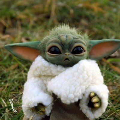 master2token's profile picture. token master