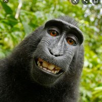MT (@nonufinktrader) 's Twitter Profile