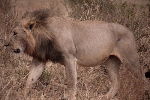 alird's profile picture. 