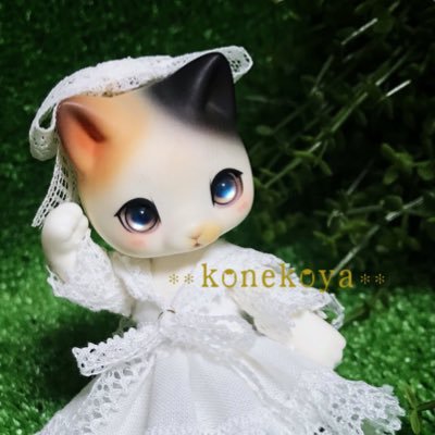 こねこ屋🌱さんのプロフィール画像