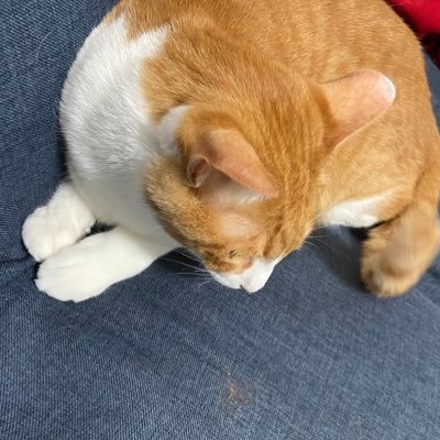 愛斗の姉さんのプロフィール画像
