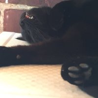 LeeLou (@_leelou__) 's Twitter Profile