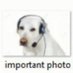 M& (@deliriowo) Twitter profile photo M& (@deliriowo) Twitter profile photo