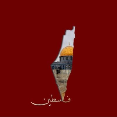 qamheyeh's profile picture. 