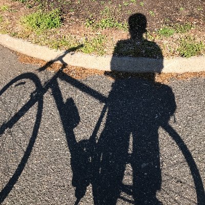 BikeBronx Profile Picture
