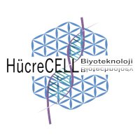 HücreCELL® Biotechnology (@hucrecellbio) Twitter profile photo