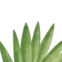 Voce Green (@vocegreen) 's Twitter Profile