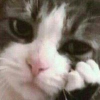 gittim kardeş (@rivainee) 's Twitter Profile