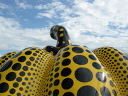 1300730's profile picture. rep FLEXXX SQUAD！！！